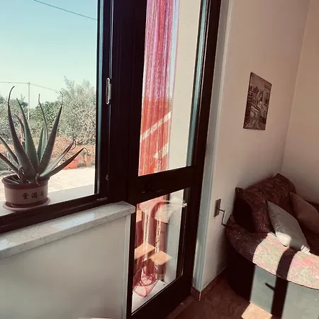 Margherita Hébergement de vacances