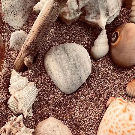 Margherita *